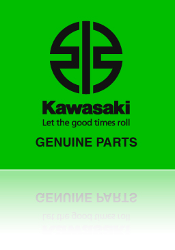 Kawasaki Store